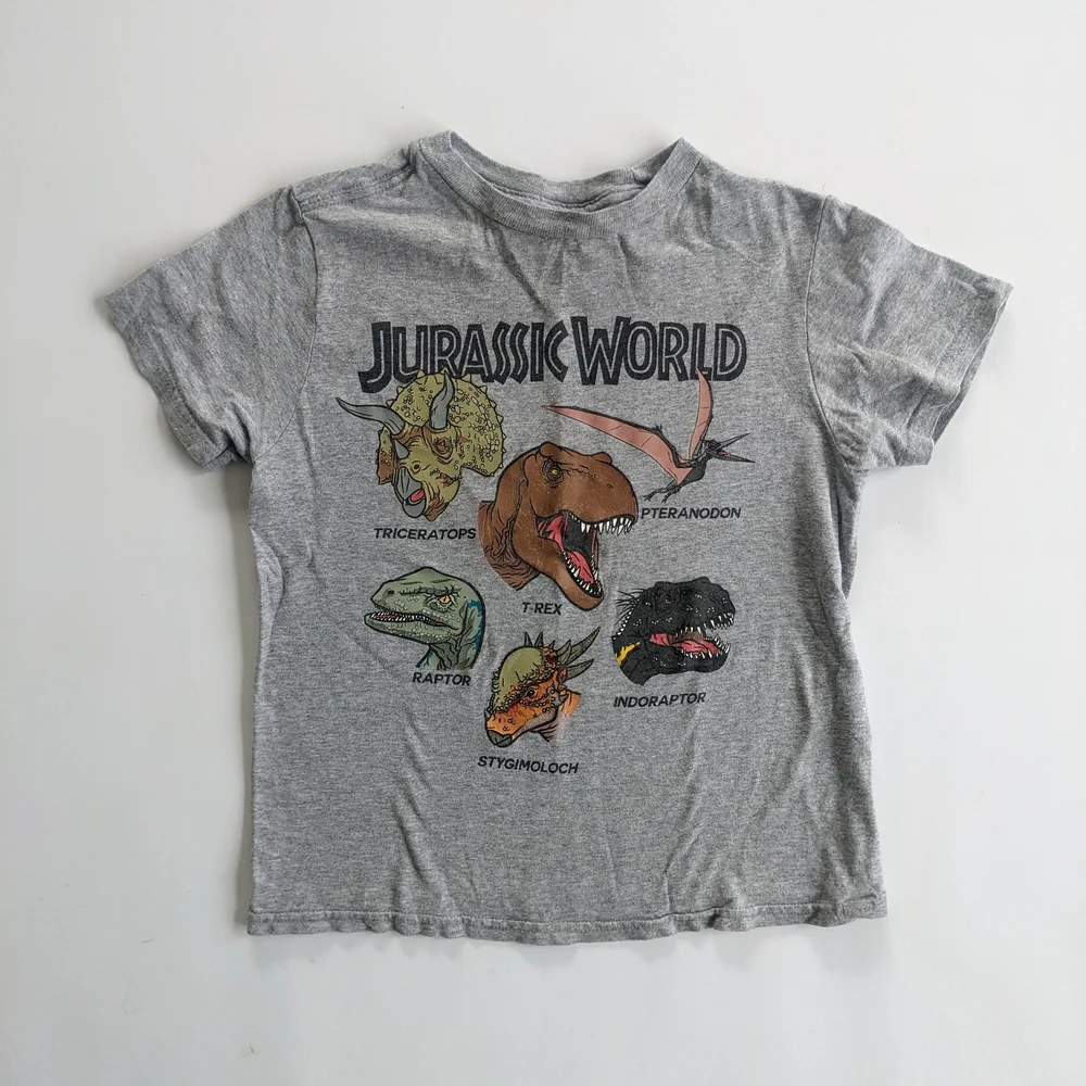 Gray Short Sleeve Tee with Dinosaur Graphics